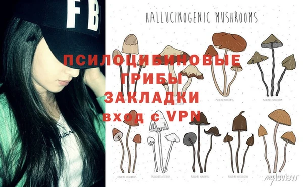 PSILOCYBIN Алексин