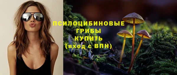 PSILOCYBIN Алексин
